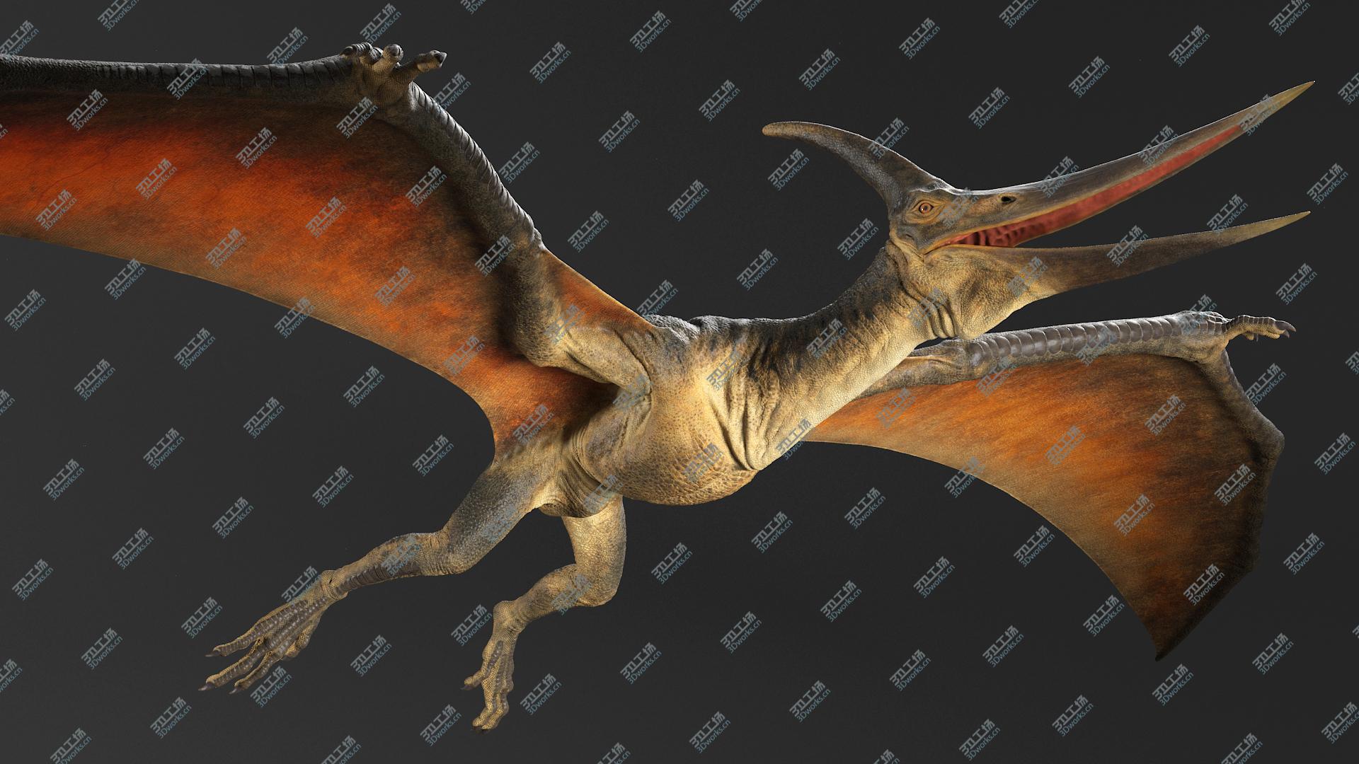 images/goods_img/20210313/3D Pteranodon No Rig(1)/4.jpg